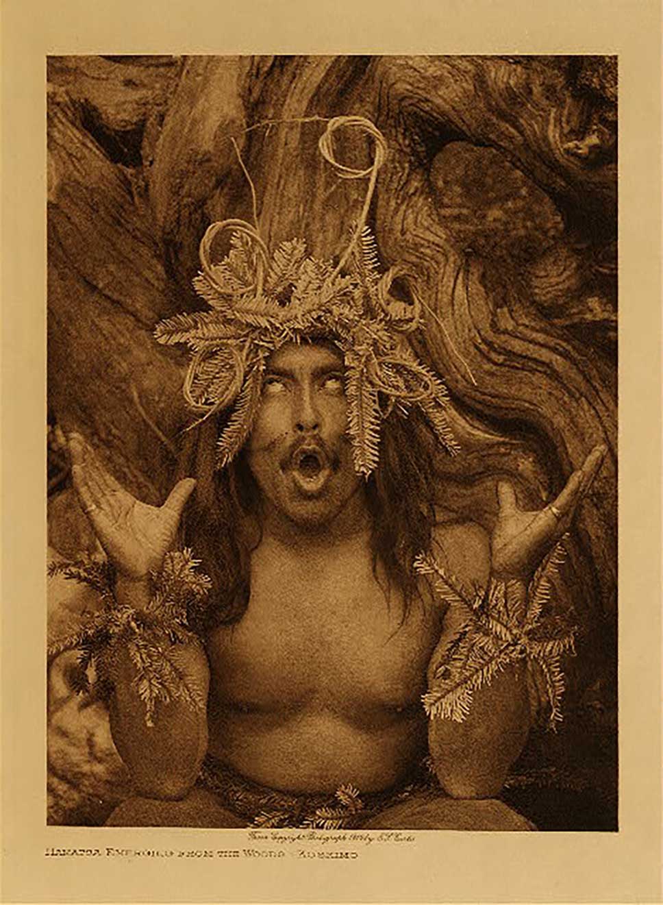 Sepia tone photograph by Edward Curtis of Wild HAMAT´SA DANCER, 1910, open mouth, eyes and hands turned skyward, cedar boughs
