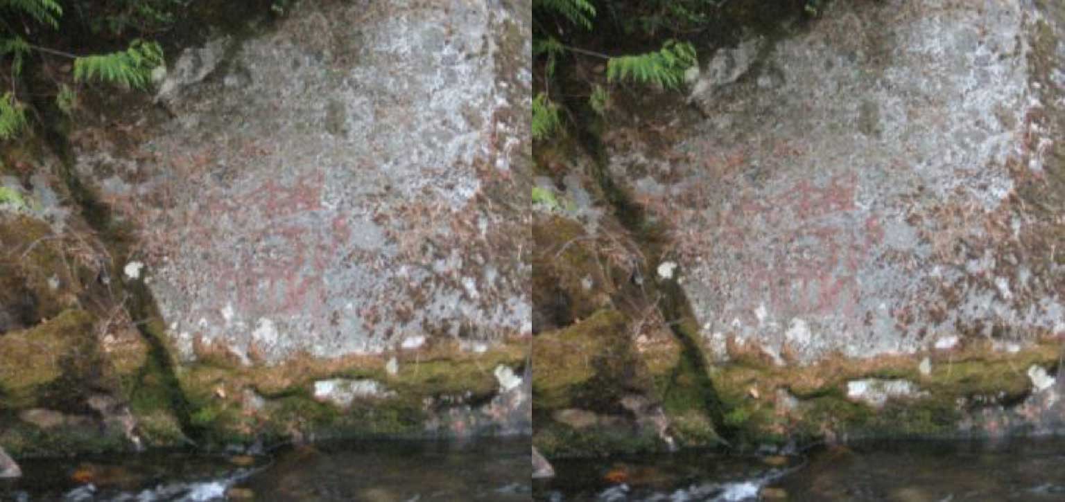 Two colour photographs depict wolf pictographs inscribed on rocks located near kingcome inlet