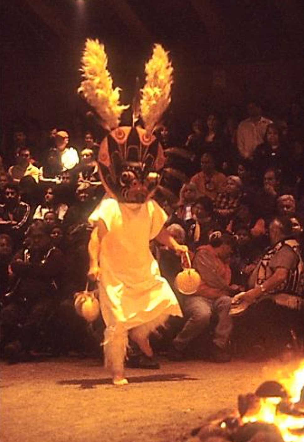 Photographie couleur un danseur, portant des hochets en coquillages, de gros masques circulaires avec deux grandes cornes en plumes, lors un potlatch dans la maison cérémonielle
