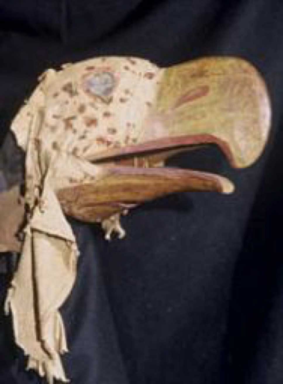 Photographie couleur montrant Kulus, l'oiseau duveteux, prise sur un fond noir
