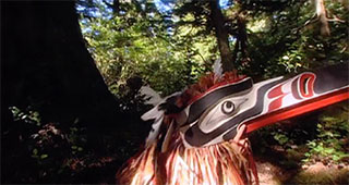 Un personnage masqué regardant vers la droite se trouve au centre de cette image, dans un cadre forestier ombragé.